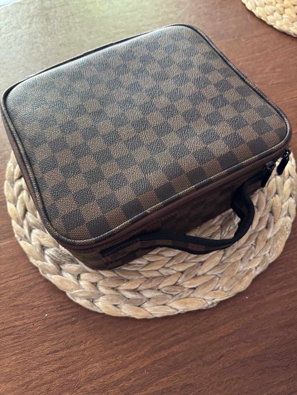 Brown Checkered Women’s Travel Organizer Bag